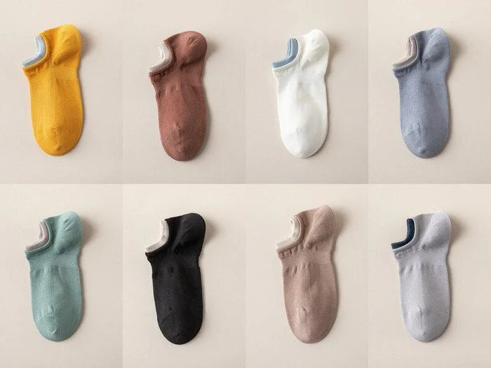 Addy Editon Sock (Pack of 10-Pairs)